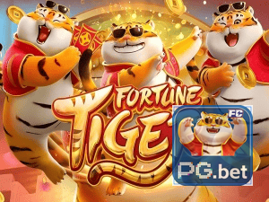 Guia install APK PGBET BR